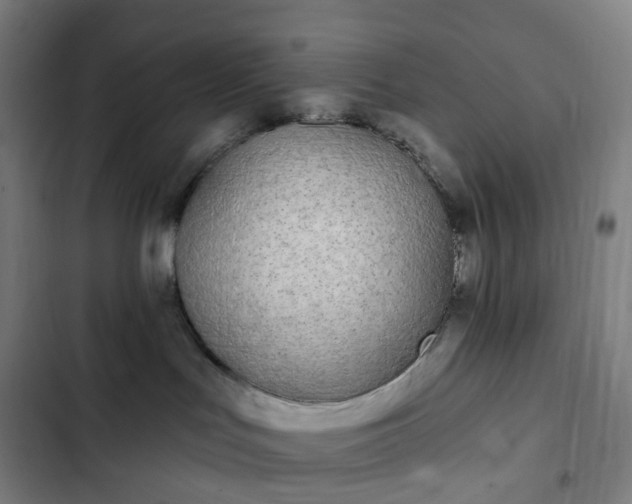 X0000103280047200809051540