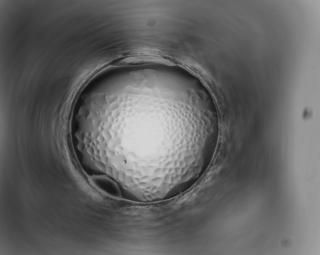 X0000103280049200809051540