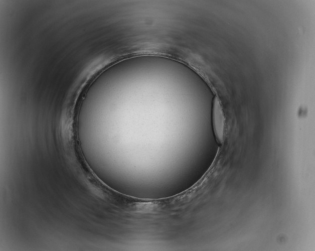 X0000103280050200809051540