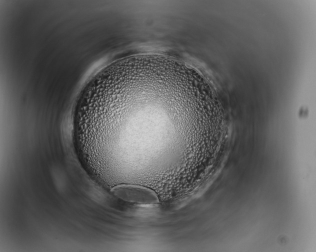 X0000103280053200809051540