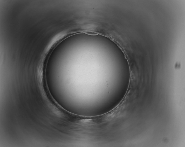 X0000103280054200809051540