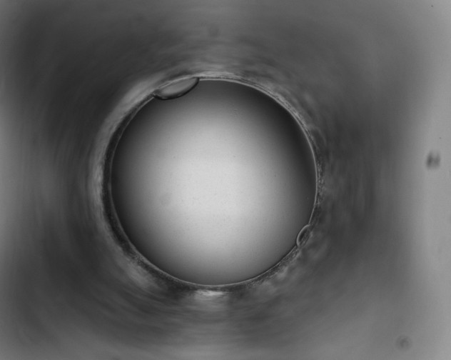 X0000103280055200809051540