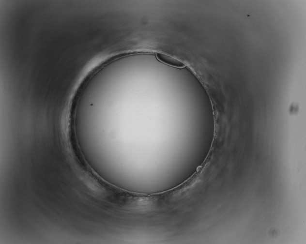 X0000103280056200809051540