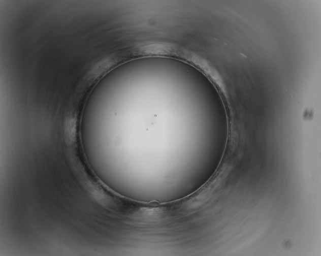 X0000103280057200809051540