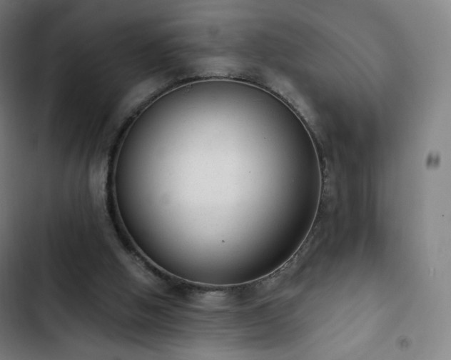 X0000103280058200809051540