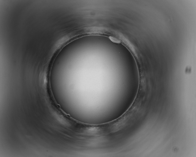 X0000103280059200809051540