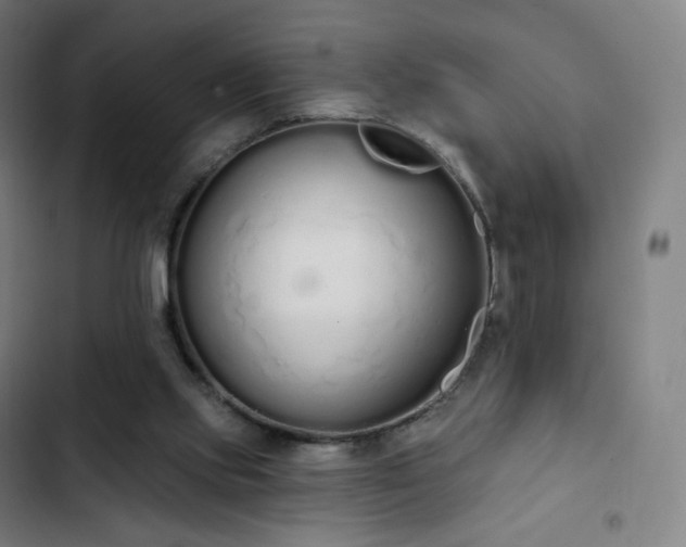 X0000103280061200809051540