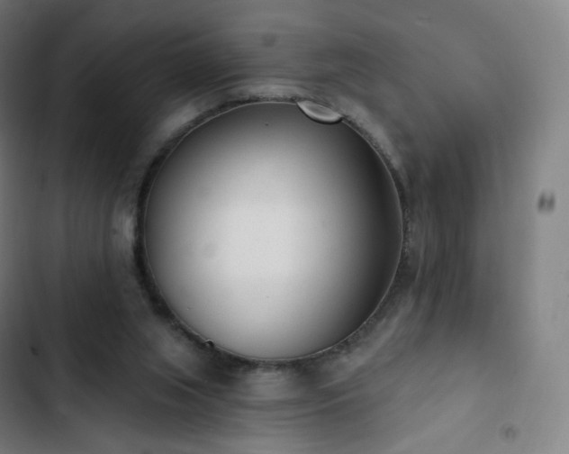 X0000103280063200809051540