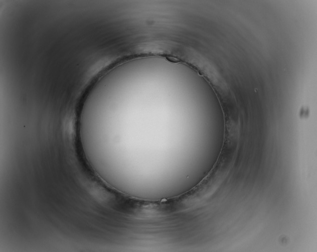 X0000103280064200809051540