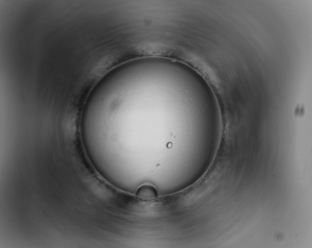 X0000103280065200809051540