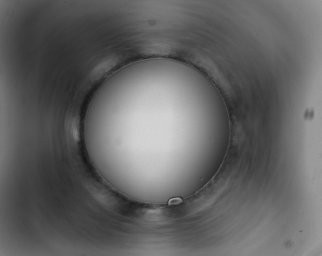 X0000103280068200809051540