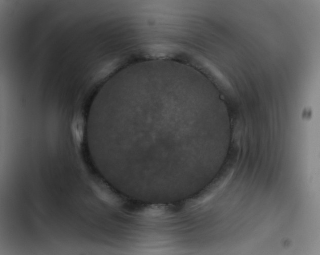 X0000103280076200809051540