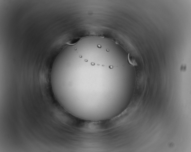 X0000103280078200809051540