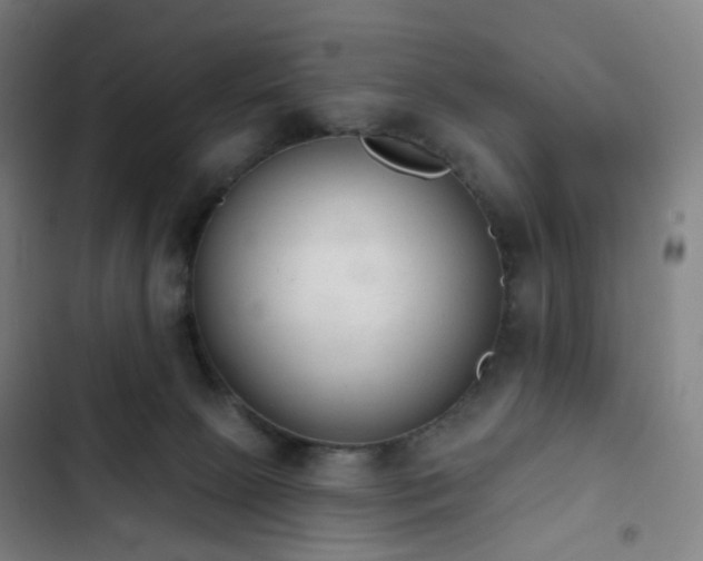 X0000103280081200809051540