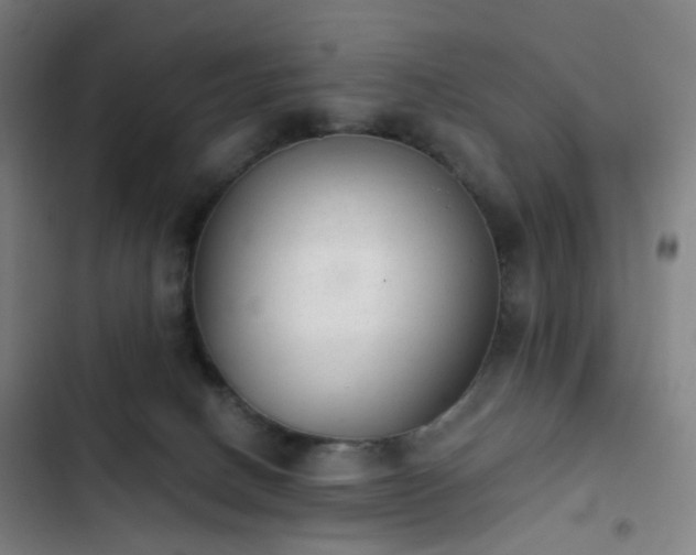 X0000103280082200809051540