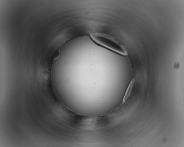 X0000103280084200809051540