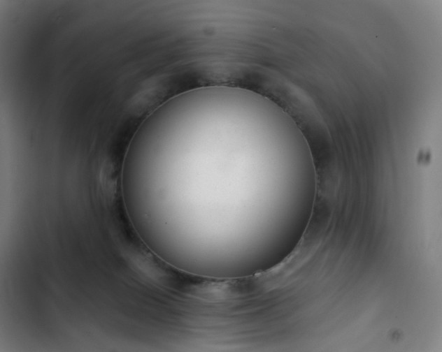 X0000103280086200809051540