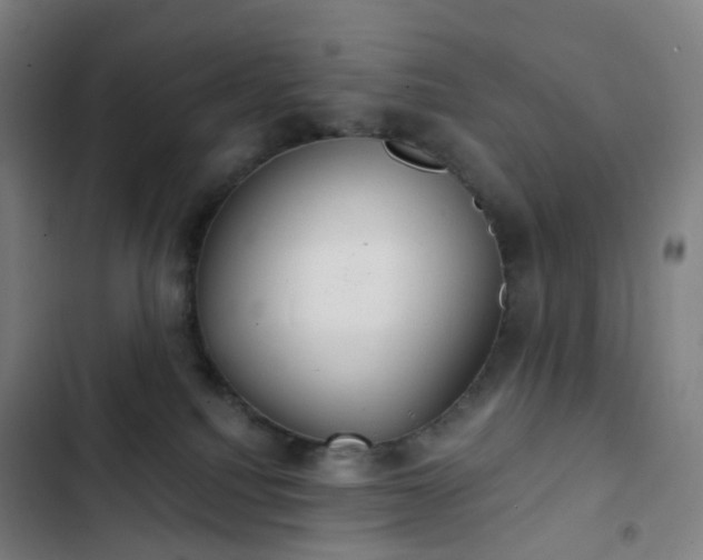 X0000103280088200809051540