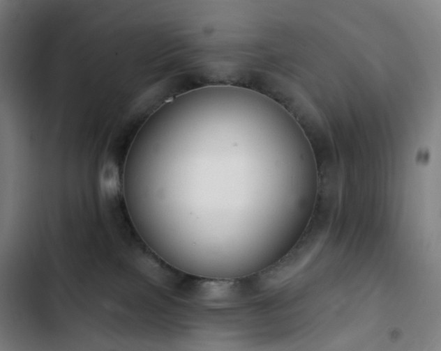 X0000103280089200809051540