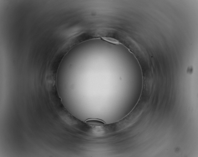 X0000103280091200809051540