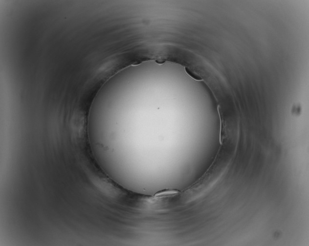 X0000103280092200809051540