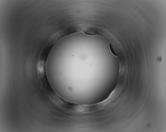 X0000103280094200809051540