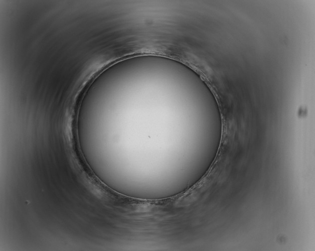 X0000103280098200809051540