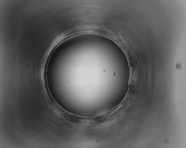 X0000103280099200809051540