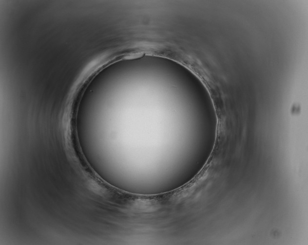 X0000103280101200809051540