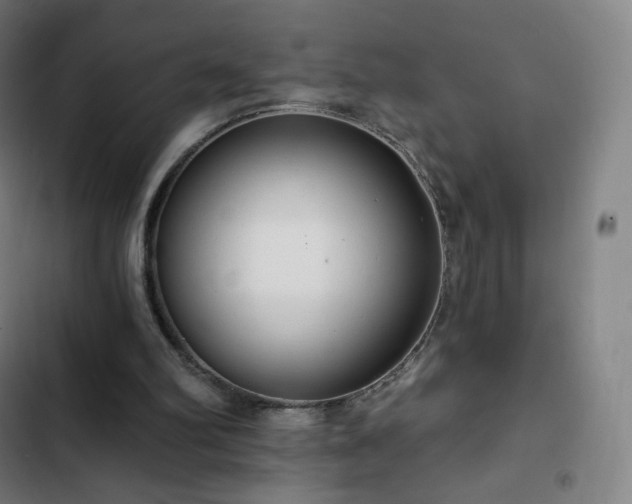 X0000103280102200809051540