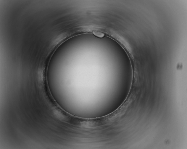 X0000103280105200809051540