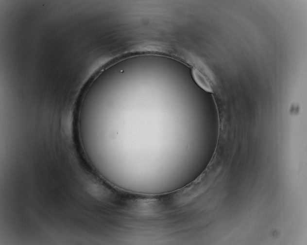 X0000103280108200809051540