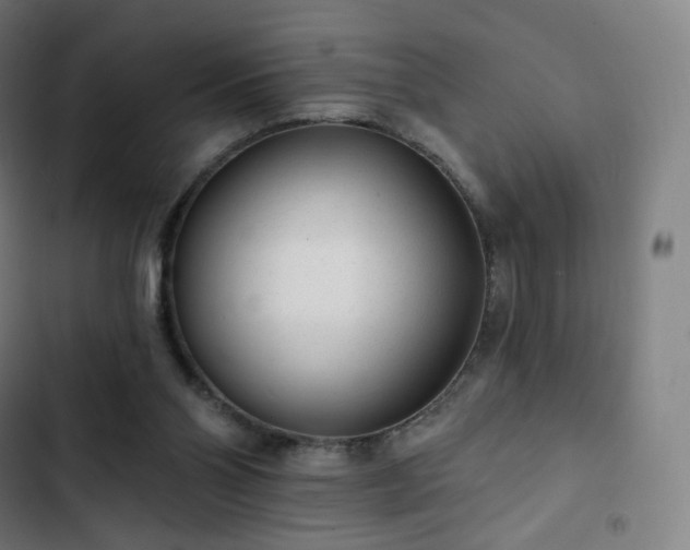 X0000103280110200809051540