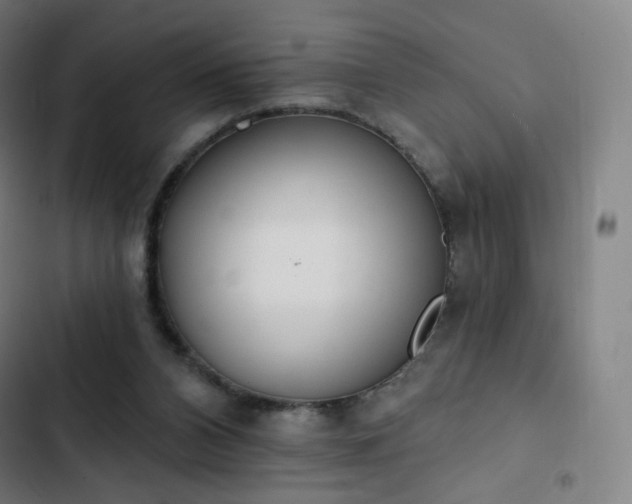 X0000103280112200809051540