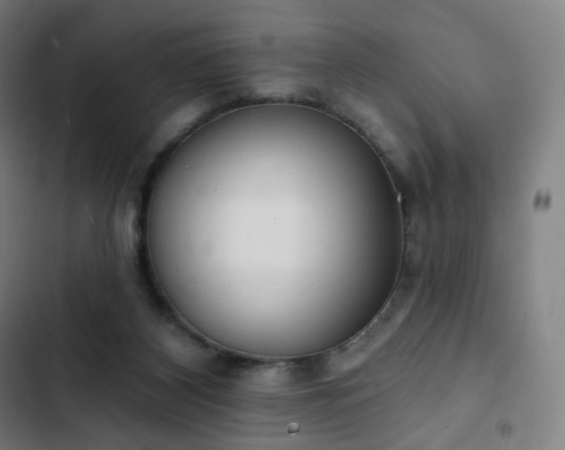 X0000103280116200809051539