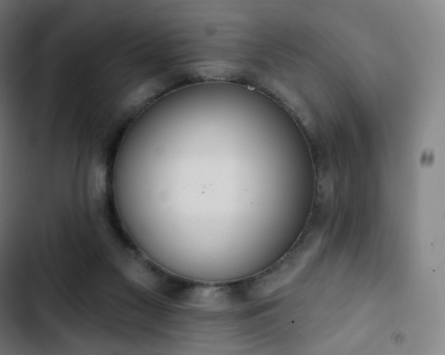 X0000103280117200809051539