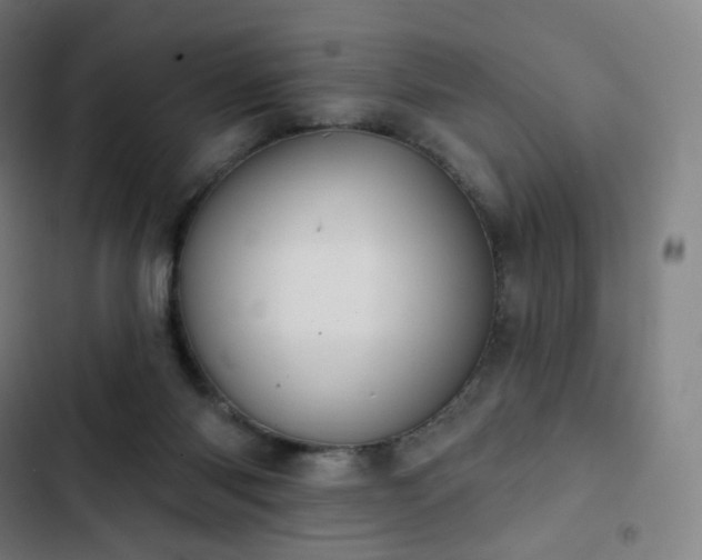 X0000103280118200809051539