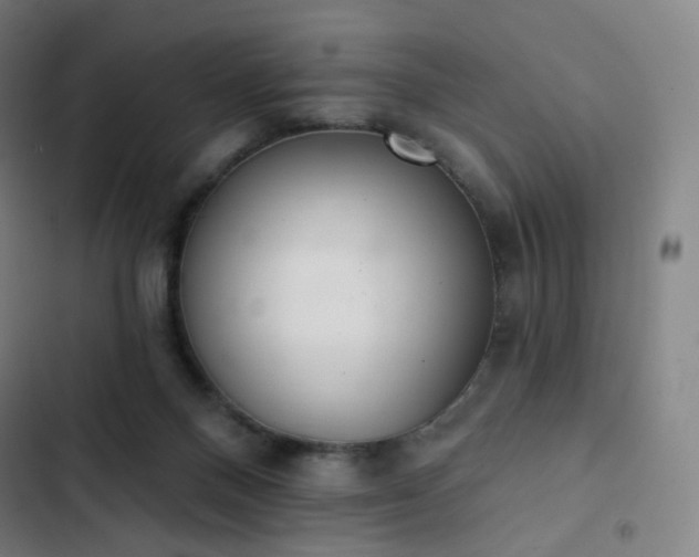 X0000103280120200809051539