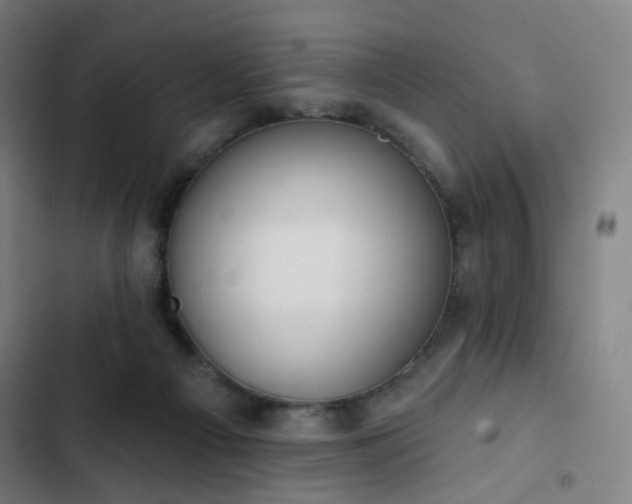 X0000103280121200809051539