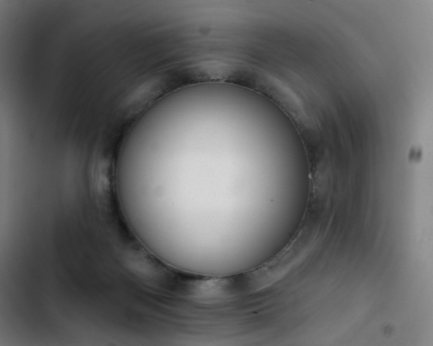 X0000103280122200809051539