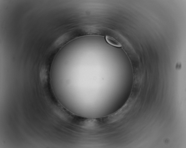 X0000103280124200809051539