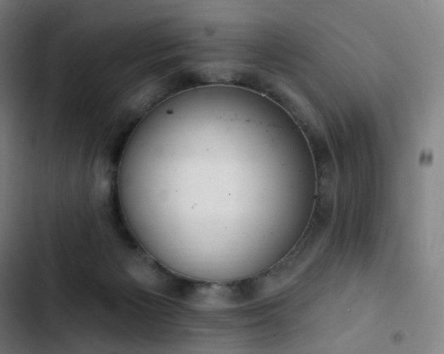 X0000103280125200809051539