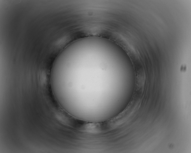 X0000103280126200809051539