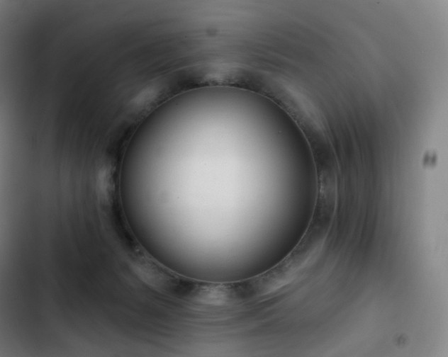 X0000103280127200809051539