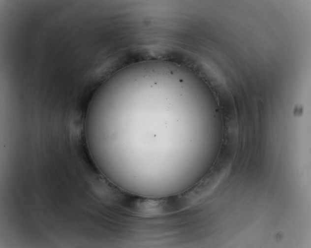 X0000103280129200809051539