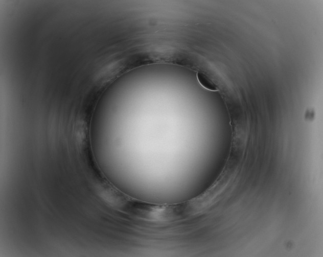 X0000103280130200809051539