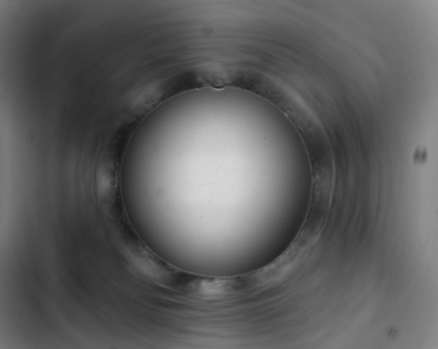 X0000103280134200809051539