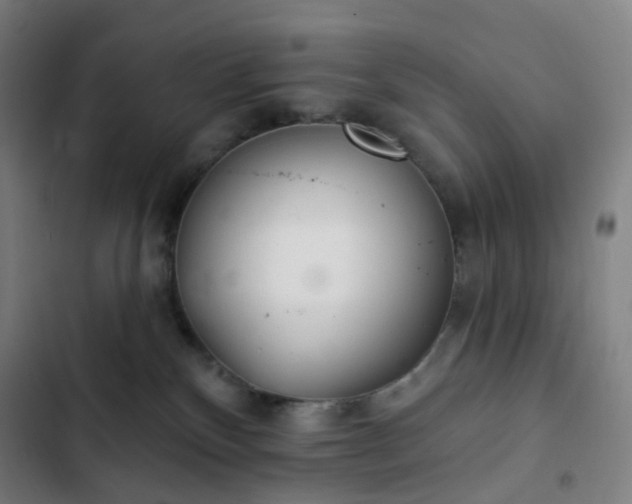 X0000103280136200809051539