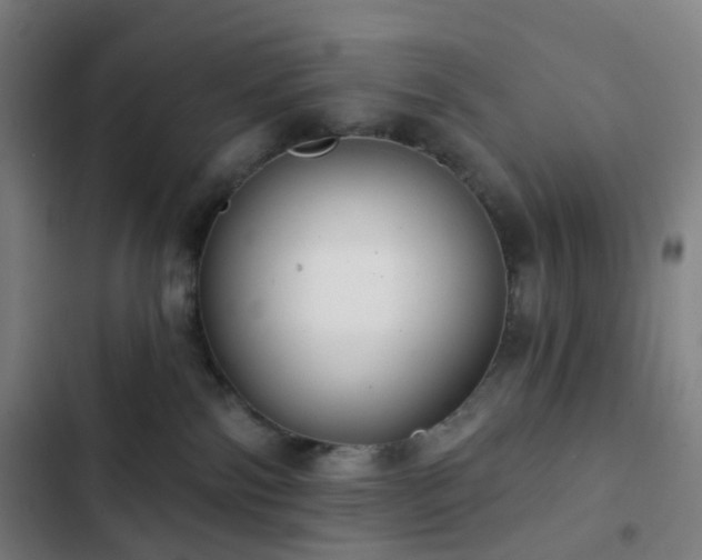 X0000103280138200809051539