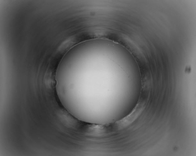 X0000103280140200809051539